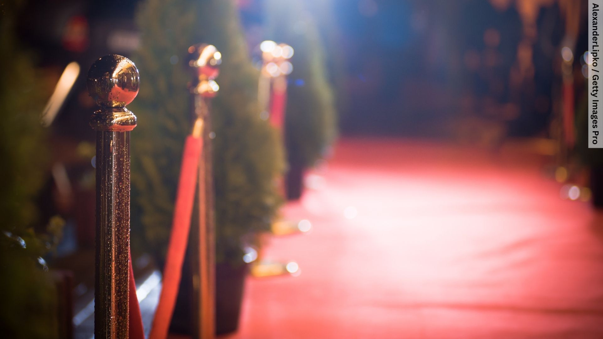 You are currently viewing Glitz, Groove, and Giving: 3rd Annual Ladies Red Carpet Gala Promises Night of Fun